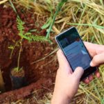 PTI quiere reforestar el país mediante una red social reforestación en Paraguay