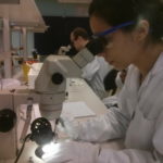 Conacyt, SCP y Unibe celebran mes del investigador paraguayo mes del investigador paraguayo