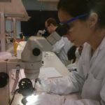 En Suecia, la tierra de Alfred Nobel, un profesor aprende contigo Imágenes: Silvia Trigüis, Juan Ricart y Maximilian Vieler