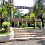 ¿Cómo ayuda el monitoreo de animales y plantas a la ciencia? monitoreo de animales