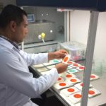 «Paraguay debe utilizar la biotecnología para resolver problemas cotidianos» paraguay biotecnología