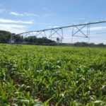 Combatieron heladas en los cultivos con investigación de ProCiencia heladas riego