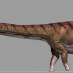 Patagotitan mayorum: el dinosaurio más grande del mundo es de Sudamérica dinosaurio más grande del mundo