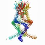 El revolucionario Nobel de Química y la bioquímica de la nueva era nobel de química 2017