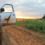 Ciencia y conservación: 20 años de Guyra Paraguay gurya paraguay 20 años