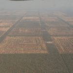 deforestación en paraguay