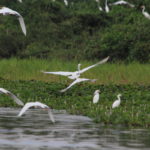 Fotografías: Antonio Schica