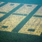 Seguimos en el inconsciente camino a la autodestrucción autodestruccion tierra