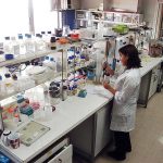 oficina de transferencia tecnológica