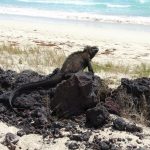 Investigador de Paraguay visita las antiguas islas que inspiraron a Darwin