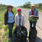 Científicas paraguayas son premiadas por la Academia Iberoamericana de Farmacia