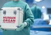 Donación de órganos en Paraguay: ¿Es suficiente una ley?