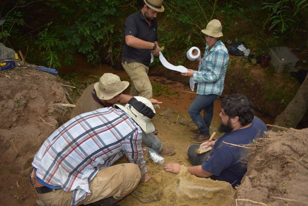 paleontología en Paraguay, extracción de fósiles en Ytororo