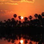 ¿Cómo debe Paraguay prepararse para los incendios forestales? incendios forestales paraguay