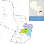 Publican pionera investigación que estandariza detección molecular de malaria en Paraguay
