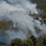 “La pérdida de biodiversidad en Paraguay es cuantiosa, pero no podemos hacer estimaciones exactas”