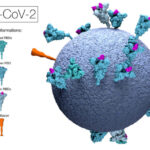Un biólogo paraguayo en el desarrollo de vacunas contra la COVID-19