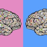 nadie nace en un cuerpo equivocado