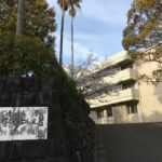 ¿Por qué la burocracia académica frena a la ciencia en el Paraguay?