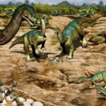 Nuevos descubrimientos sobre dinosaurios serán tema de webinario