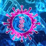 coronavirus genoma humano