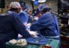 El primer xenotrasplante exitoso de un corazón: ¿Por qué es un hito? sala de operación del primer xenotrasplante de corazón exitoso