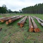 hidrógeno verde en Paraguay