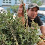 El saber popular, origen del estudio ganador del Premio Nacional de Ciencia origen popular de la investigación ganadora del Premio Nacional de Ciencia 2022