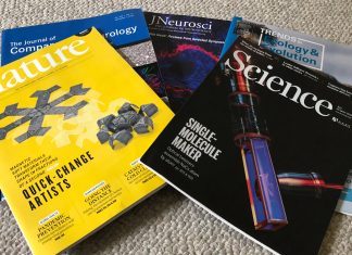 Taller de Estrategias para la Publicación Científica