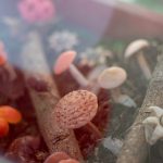 Fungi, el reino en descuido que está más presente de lo que imaginamos Fungi Paraguay, maqueta de hongos