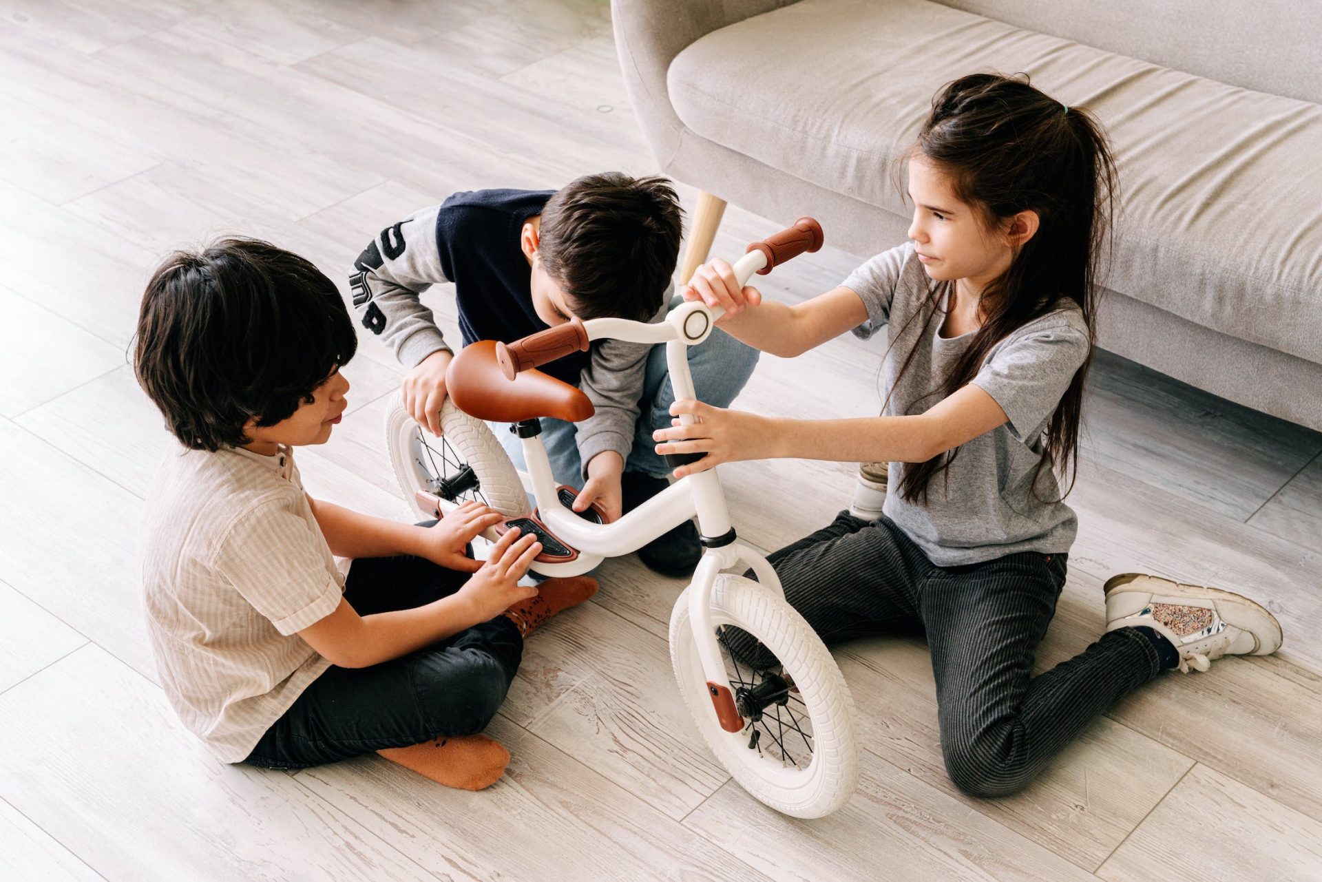 niños y niñas jugando con una bicicleta, biología juguetes