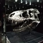 5 museos de ciencia de Europa que tenés que conocer sí o sí