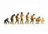 El mito de la evolución biológica del ser humano primate evolucionando a humanos que usan herramientas, mito de la evolución biológica