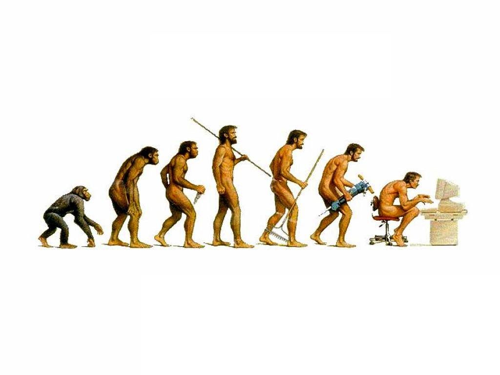 primate evolucionando a humanos que usan herramientas