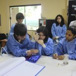 Vacaciones en el laboratorio: adolescentes alteraron ADN de bacterias para hacerlas fluorescentes