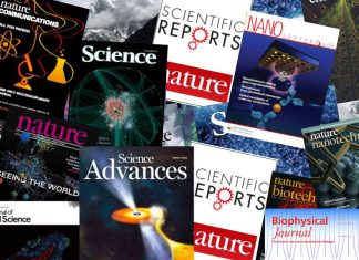 Taller de Verano 2024: ¿Cómo escribir artículos científicos con nuevas herramientas digitales?