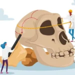 Organizan inédito taller de investigación antropológica para estudiantes, antropólogos e investigadores