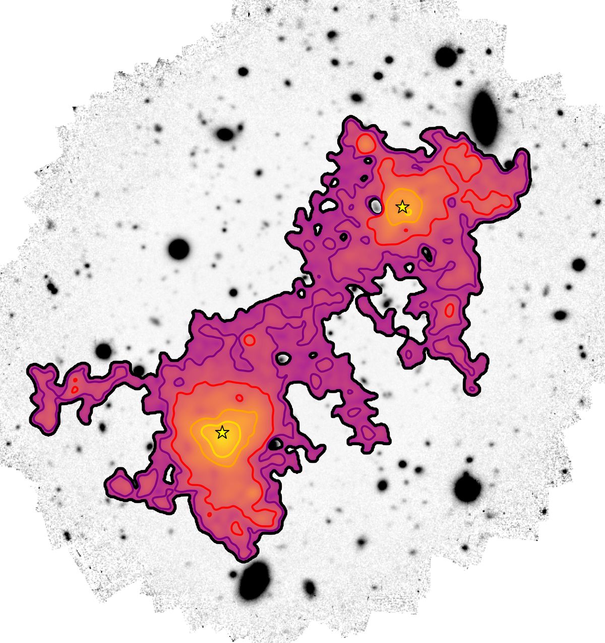 En rojo, la imagen del gas difuso contenido en el filamento cósmico que conecta dos galaxias, resaltado por una estrella amarilla, que se extiende a lo largo de una vasta distancia de 3 millones de años luz. [Crédito: Davide Tornotti/Universidad de Milán-Bicocca]