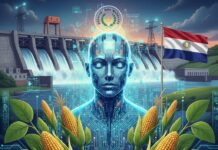 «Para Paraguay, existe una clara oportunidad de alinear la IA con sus fortalezas únicas»