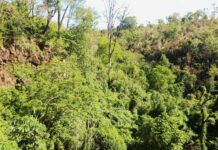 Áreas protegidas, más que biodiversidad: patrimonio vivo de pueblos y saberes áreas protegidas de paraguay son más que biodiversidad