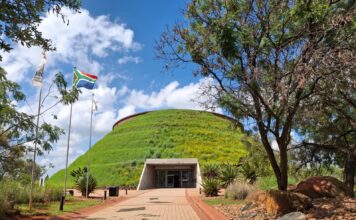 Sudáfrica bajo tierra: fósiles, evidencias y secretos de la evolución humana Sudáfrica y la evolución