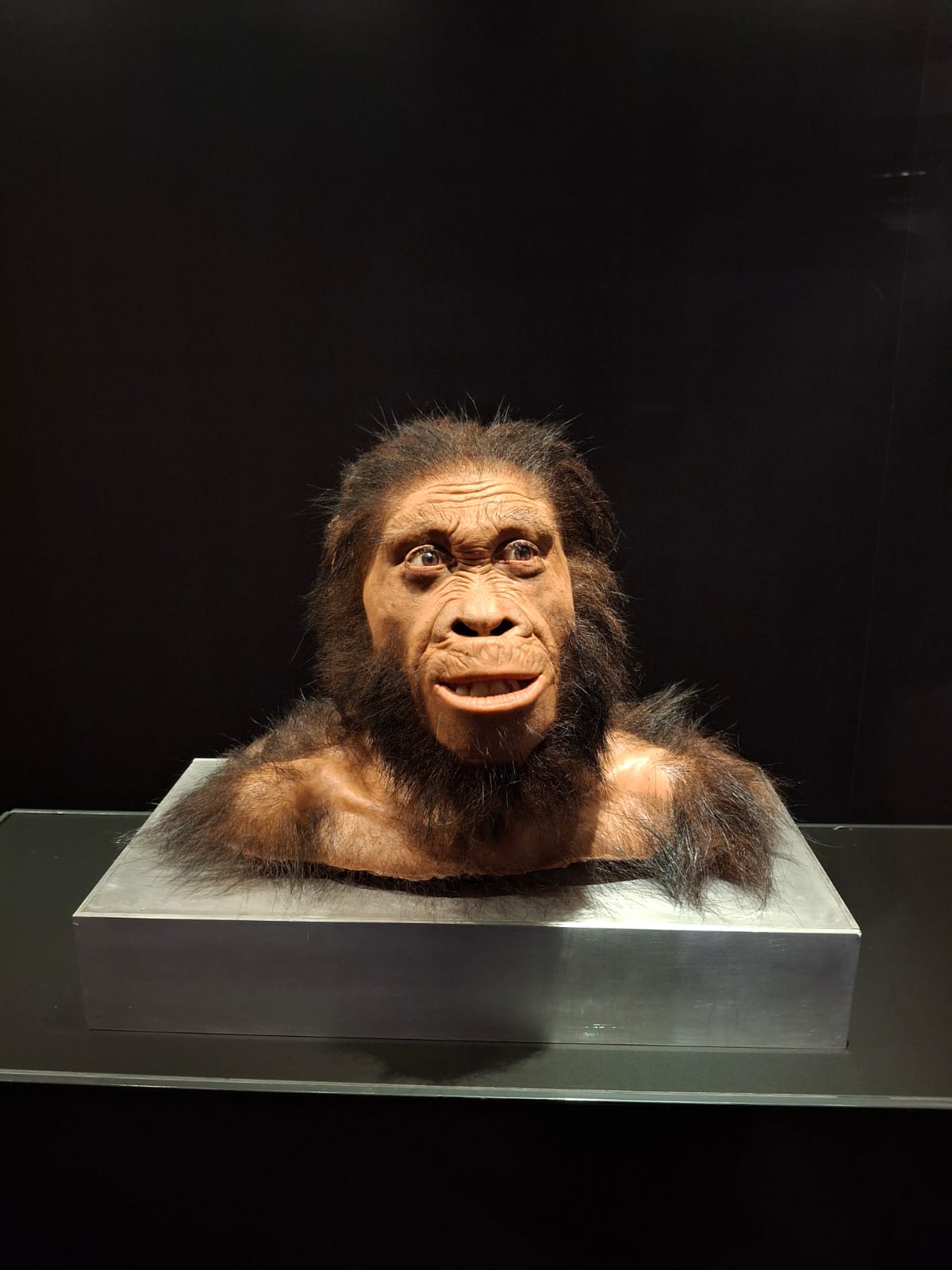 El Centro de Visitantes de Maropeng. (Foto de Eduardo Quintana / Ciencia del Sur)