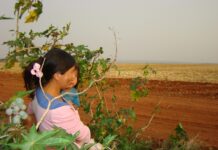 Habitar en medio de los agroquímicos en el Paraguay Una mujer con una niña en medio de una plantación en el interior del Paraguay
