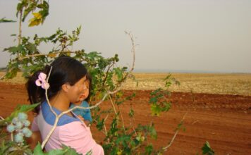 Habitar en medio de los agroquímicos en el Paraguay Una mujer con una niña en medio de una plantación en el interior del Paraguay