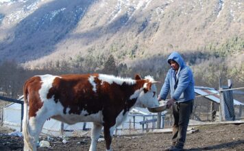 Investigadores de Iberoamérica se reúnen en Paraguay para estudiar la etnoveterinaria