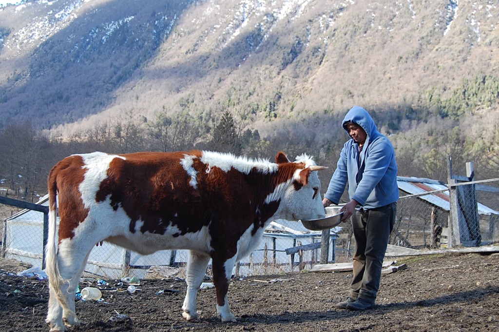 Etnoveterinaria-Ciencia del Sur